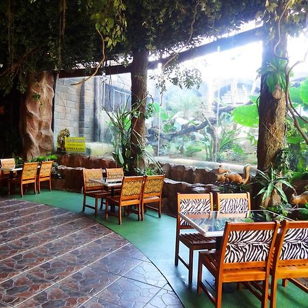 Pohon Inn Hotel 玛琅 外观 照片