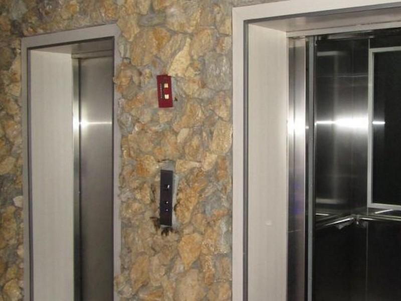 Pohon Inn Hotel 玛琅 外观 照片